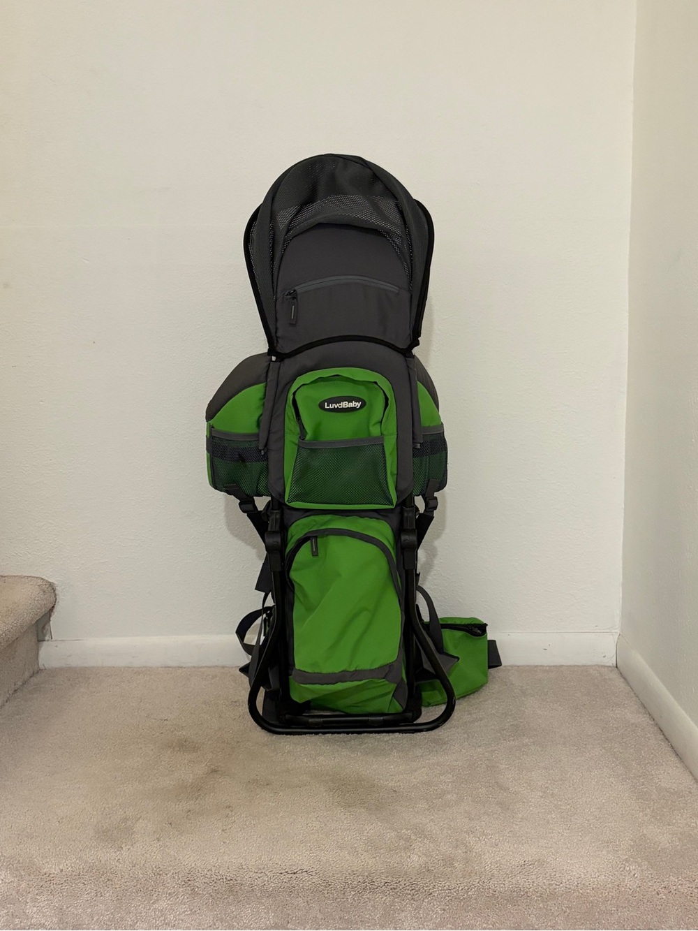 Luvdbaby Green Child Hiking Backpack
Excellent condition; only used a few times